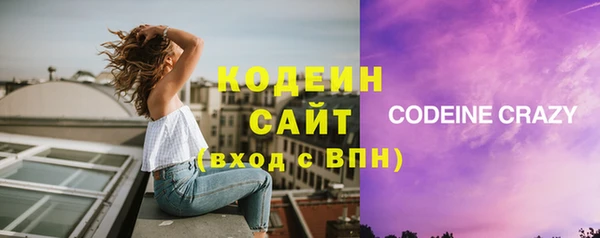 прущие грибы Бронницы