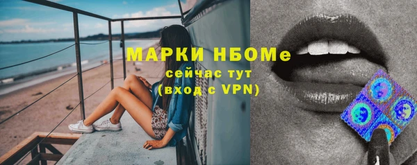 прущие грибы Бронницы
