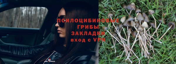 героин Верея