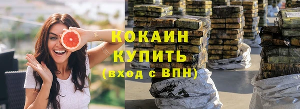 эйфоретик Пересвет