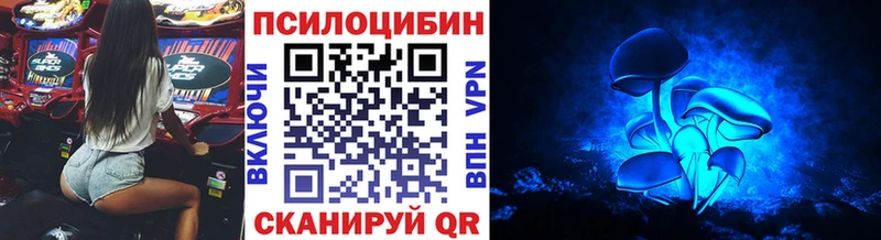 цена   Грайворон  Псилоцибиновые грибы MAGIC MUSHROOMS 